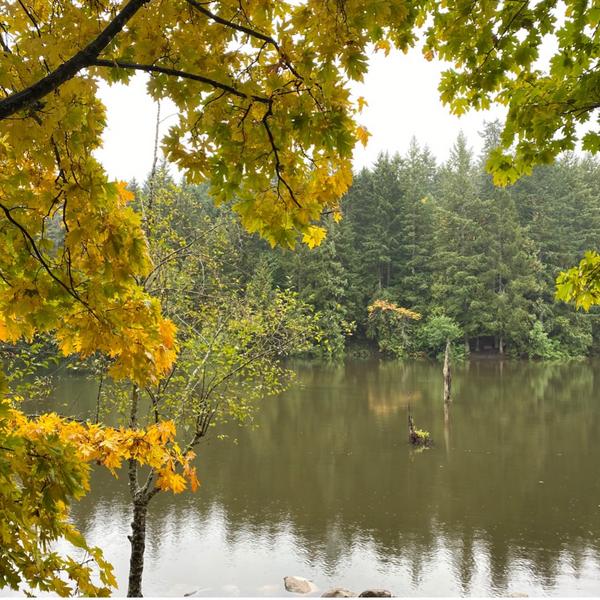 Student blog_braiding global agendas