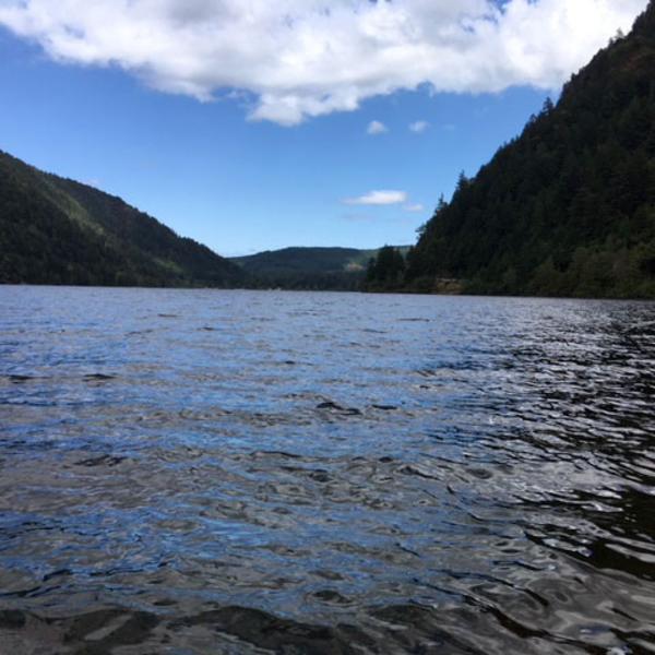 Cameron Lake Monitoring and Mapping 1