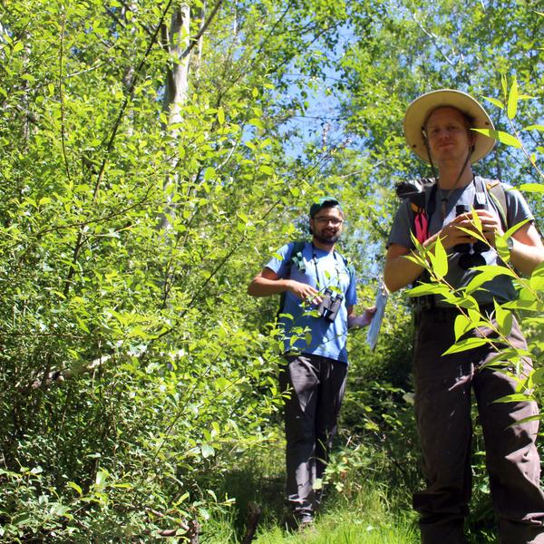 Alan Cavin and Brian Timmer search for birds and other fauna on the property.