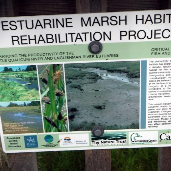 Eelgrass Mapping Practice Field Day 1