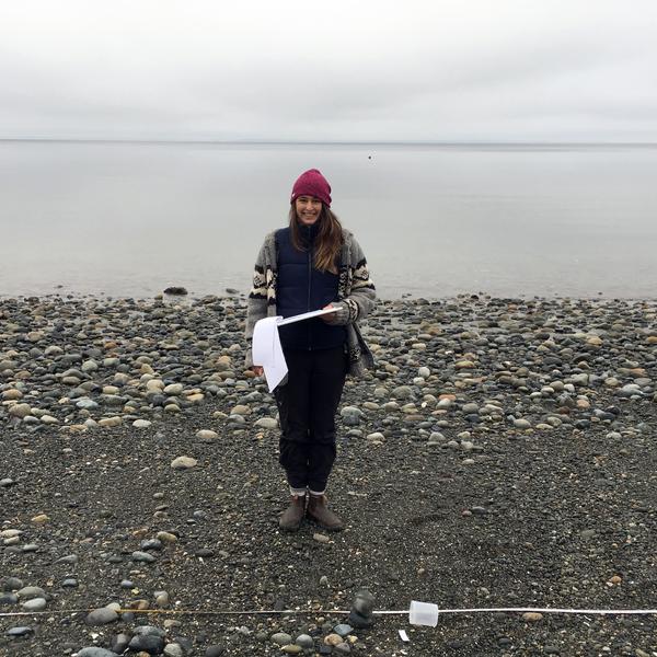 Forage Fish Spawning Habitat Monitoring 1