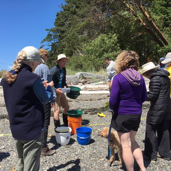 Forage Fish Spawning Habitat Monitoring Program – Gabriola Island 1