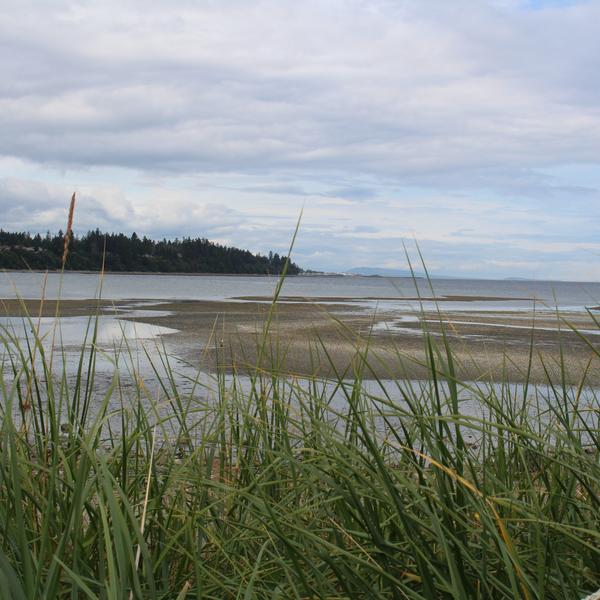 Beach_MABRRIBlogPost