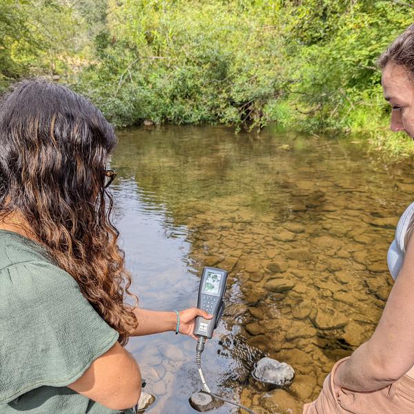 MABRRI Research Assistants checking water quality in stream
