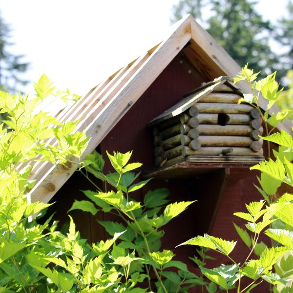 North Island Wildlife Recovery Center 1