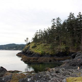 Oak Leaf Drive Park in Nanoose Bay.