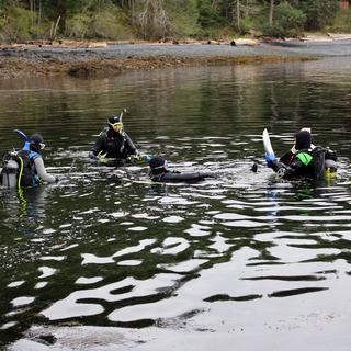 Divers Participating in a Marine Survey at Oak leaf Drive Park.
