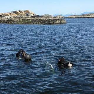 Bull Kelp Monitoring 2