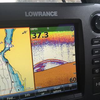 Bull Kelp Monitoring 3