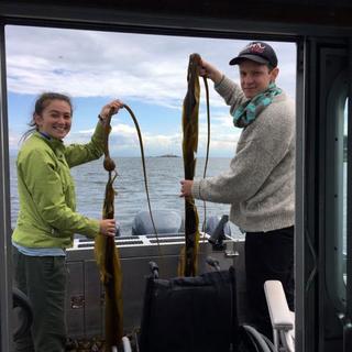 Bull Kelp Sampling 3