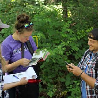 Chrissy Schellenberg and Haley Tomlin identify a plant while Alex Harte tries to find where they are on the map app.