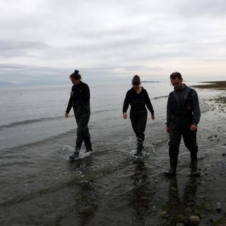 Eelgrass Mapping Practice Field Day 2