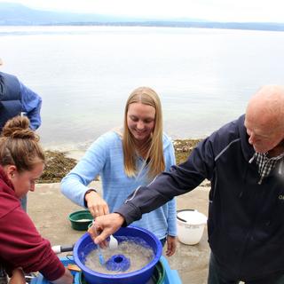 Forage Fish Habitat Monitoring Program – Thetis Island 4