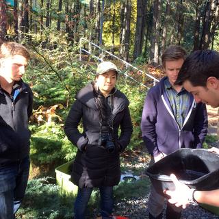 Forage Fish Spawning Habitat Monitoring 2