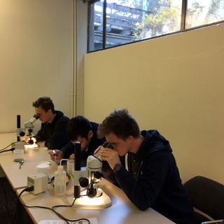 Forage Fish Spawning Habitat Monitoring 3