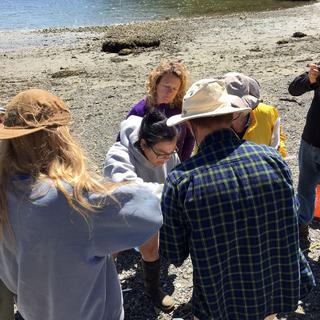Forage Fish Spawning Habitat Monitoring Program – Gabriola Island 2