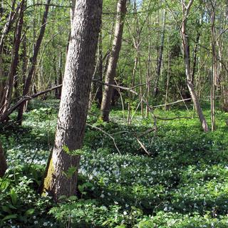 Haapsalu, Estonia 12