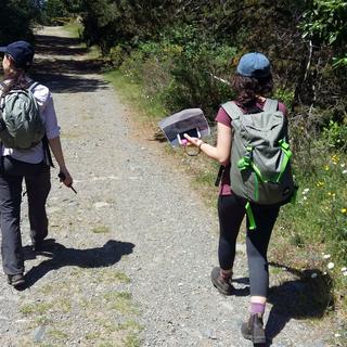 Linley Valley Trails Assessment 2