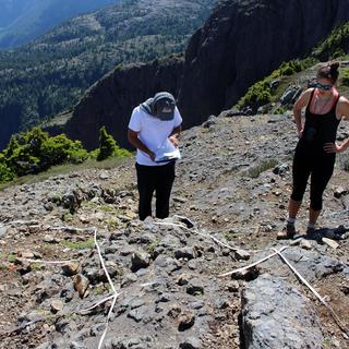 Global Observational Research Initiative in Alpine Environments (GLORIA)