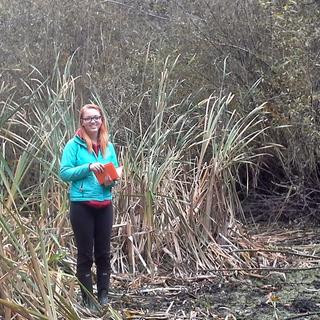 Mapping Parksville's Wetlands 4