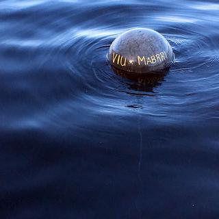 MABRRIs float after the culture lines were deployed.