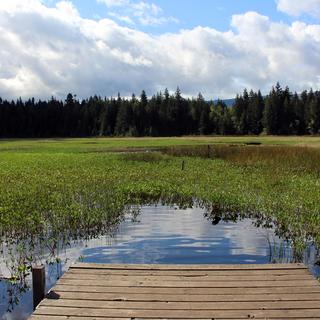 Rathtrevor Beach, Hamilton Marsh, & Little Qualicum Falls 6