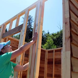 Roxanne builds a wall.