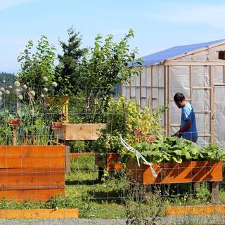 Snaw-Naw-As Garden 5