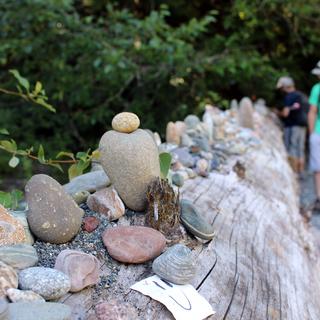 Top Bridge Regional Trail 3