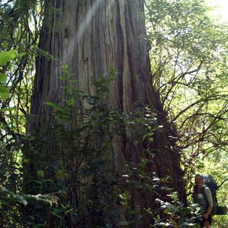 Walking the Wild Side in the Clayoquot Sound Biosphere Reserve 11