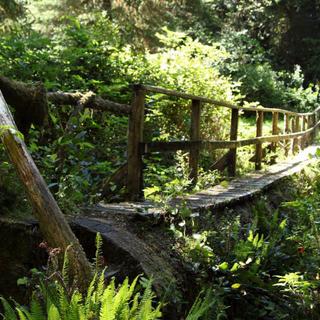 Walking the Wild Side in the Clayoquot Sound Biosphere Reserve 12