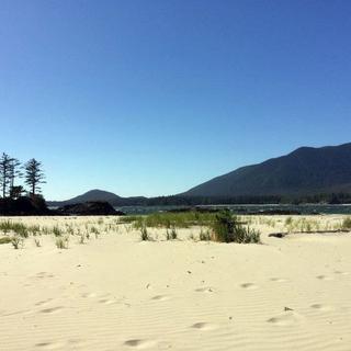 Walking the Wild Side in the Clayoquot Sound Biosphere Reserve 3