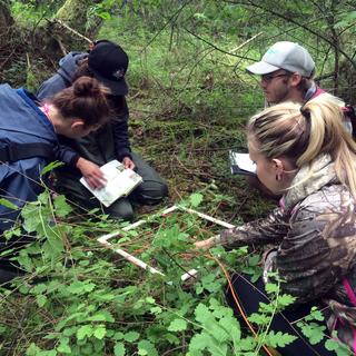 Wetland Practice Field Day 2
