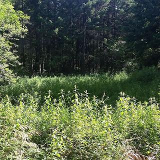 Wetlandkeepers Course 1