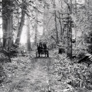 Working at the Qualicum Beach Museum 6