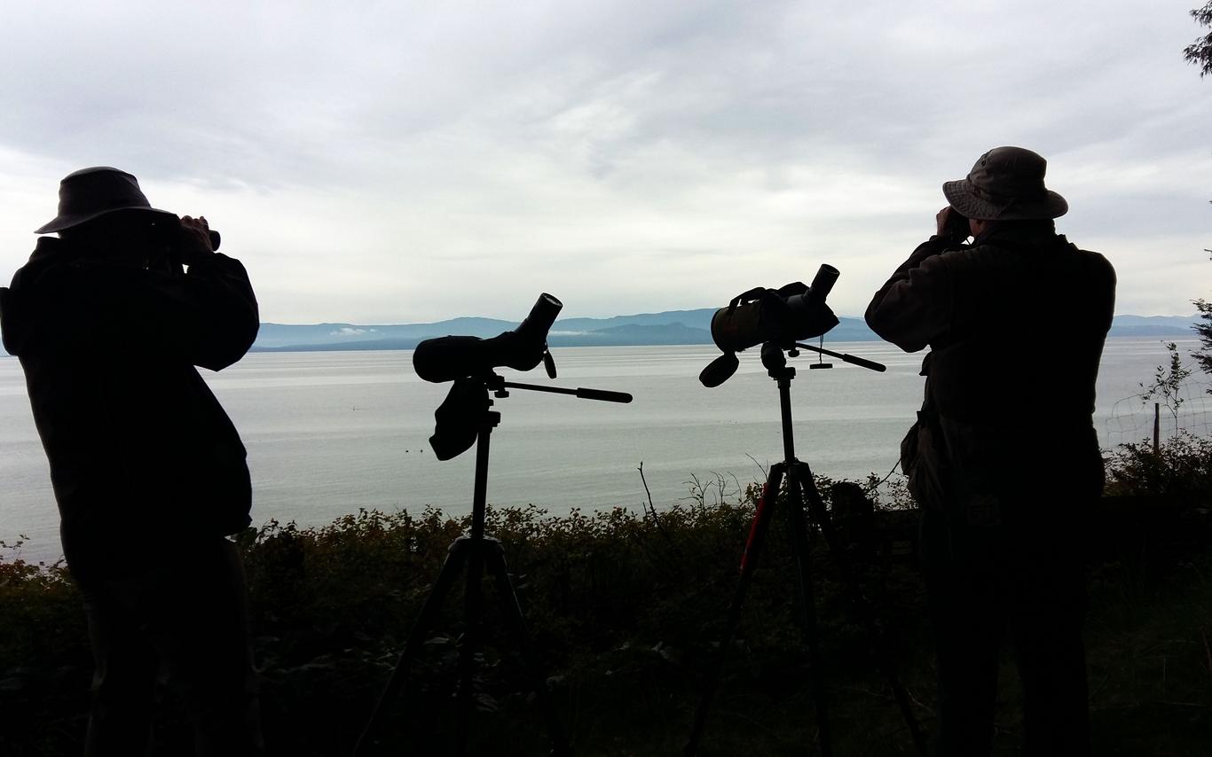 2nd Annual MABR BioBlitz 1