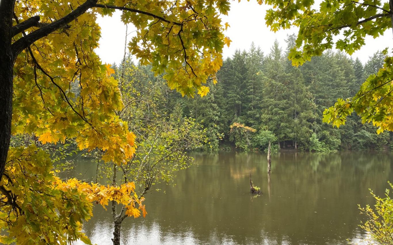 Student blog_braiding global agendas