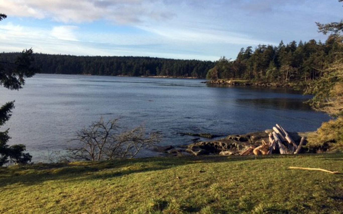 Bull Kelp Collection in the Salish Sea 1