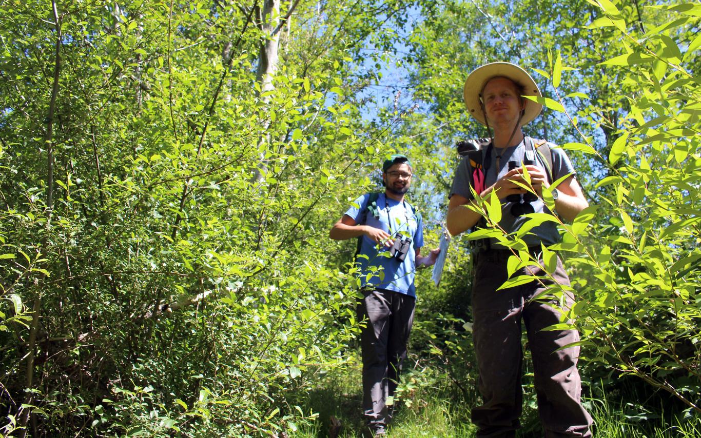 Alan Cavin and Brian Timmer search for birds and other fauna on the property.