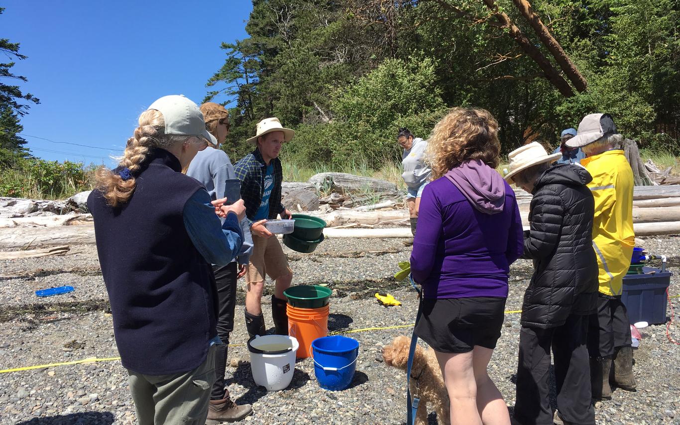 Forage Fish Spawning Habitat Monitoring Program – Gabriola Island 1