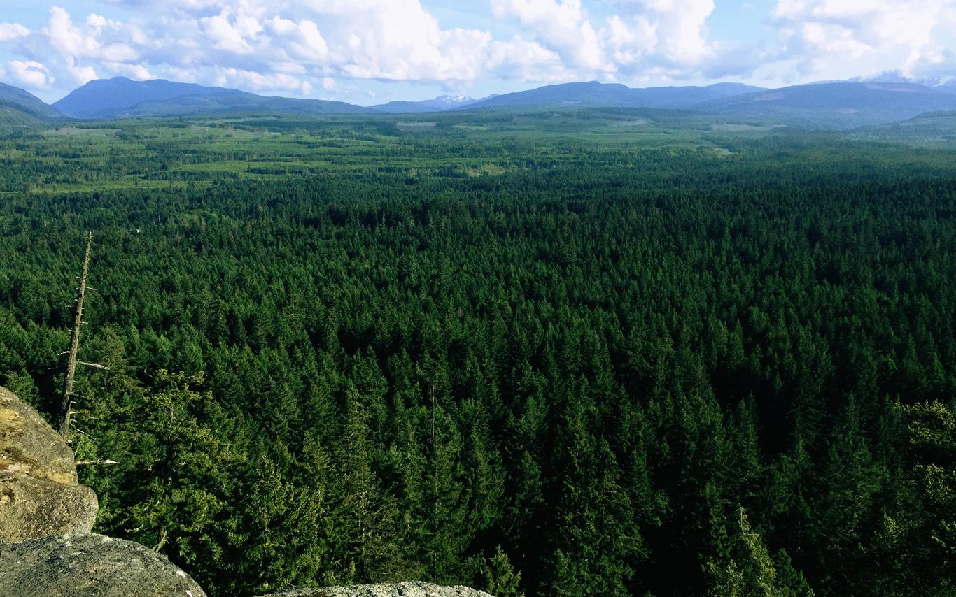 View from Little Mountain 