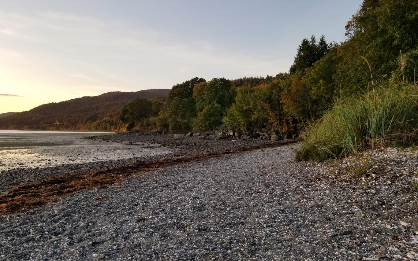 Nanoose Bay Clam Monitoring