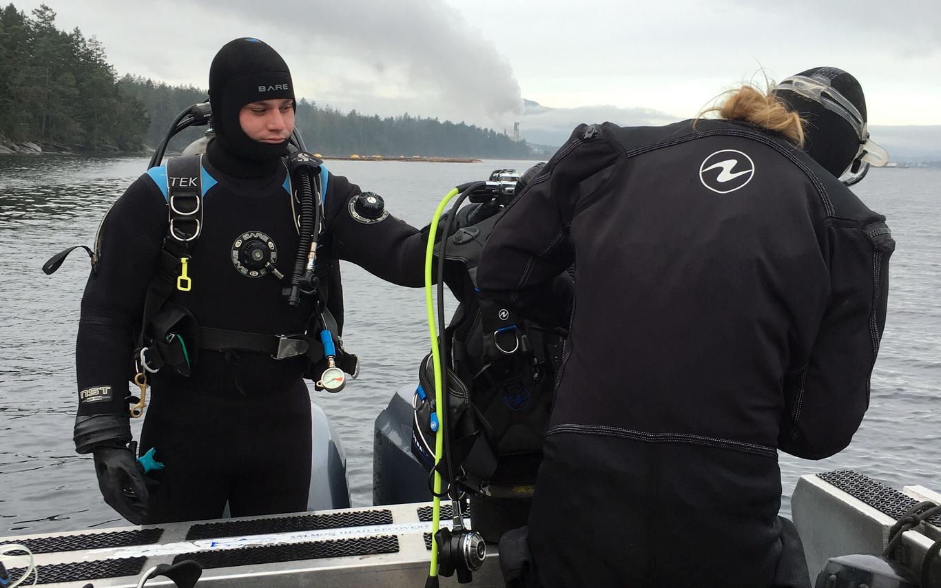 A New Season for Bull Kelp 1