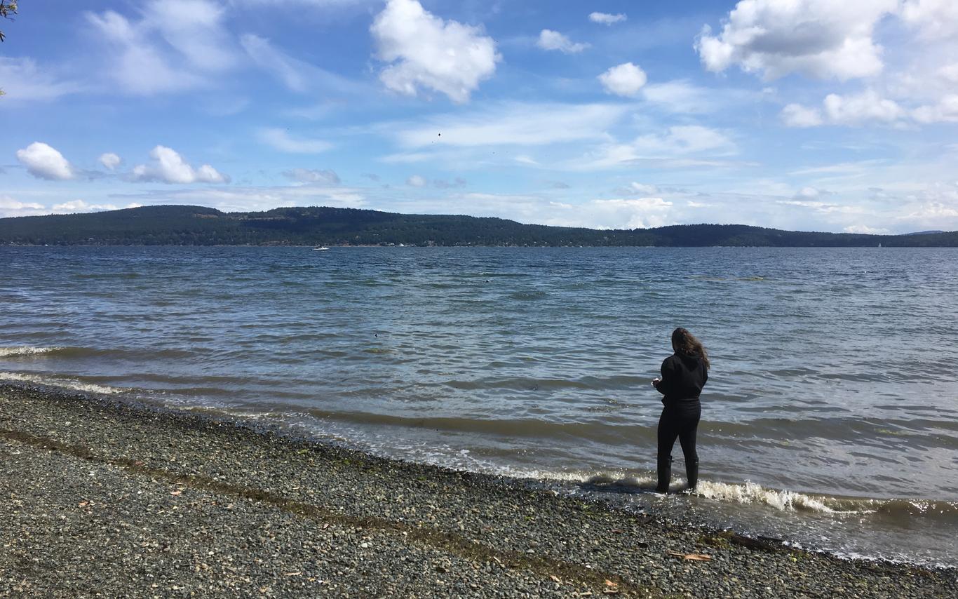 Forage-fish-sampling